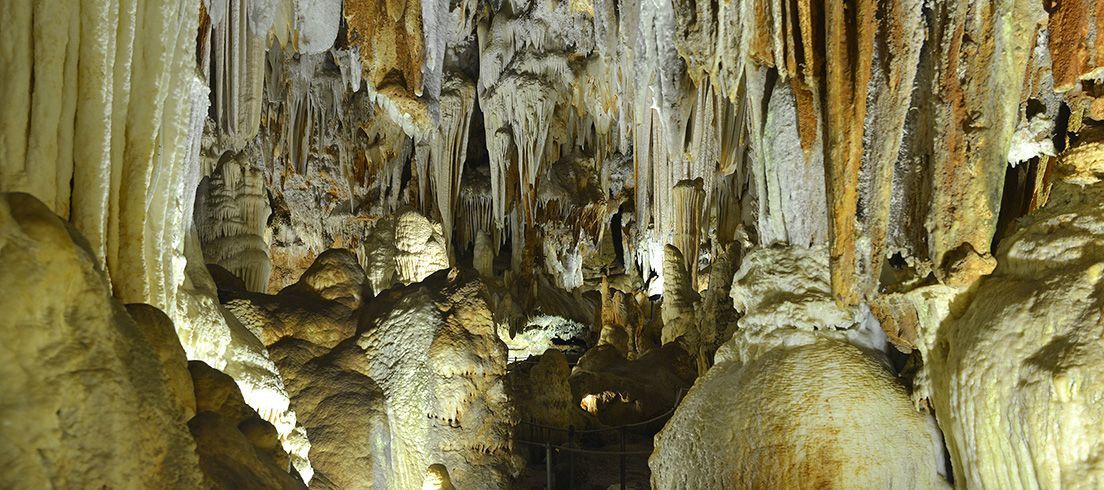 Cuevas _del_Águila_PALM_planes_a_la_madrileña