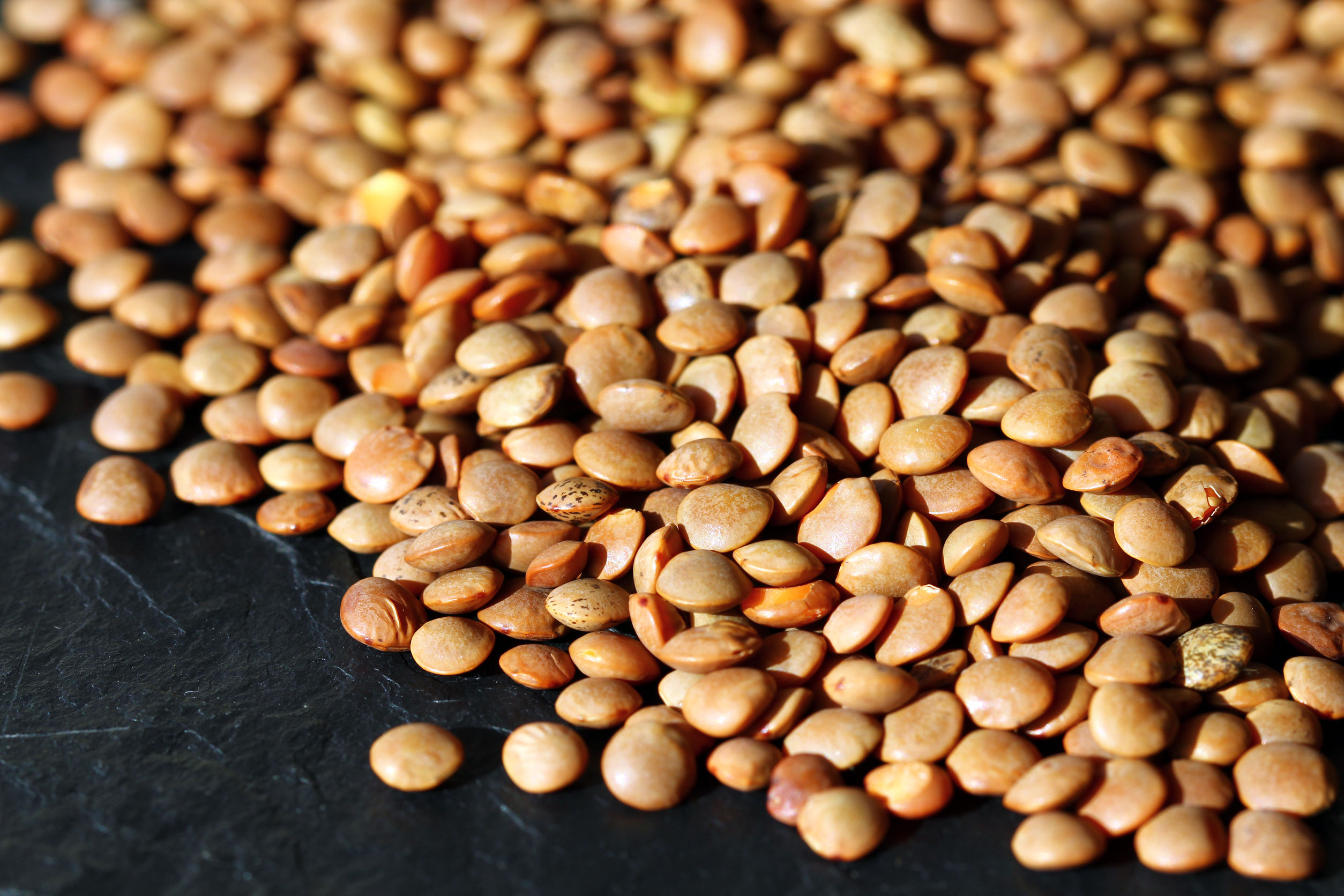 Alimentos proteicos PALM Planes a la madrileña