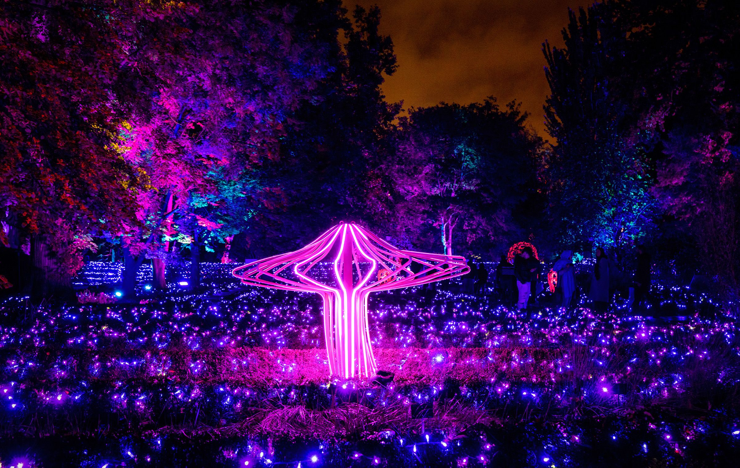 Naturaleza Encendida PALM Planes a la Madrileña