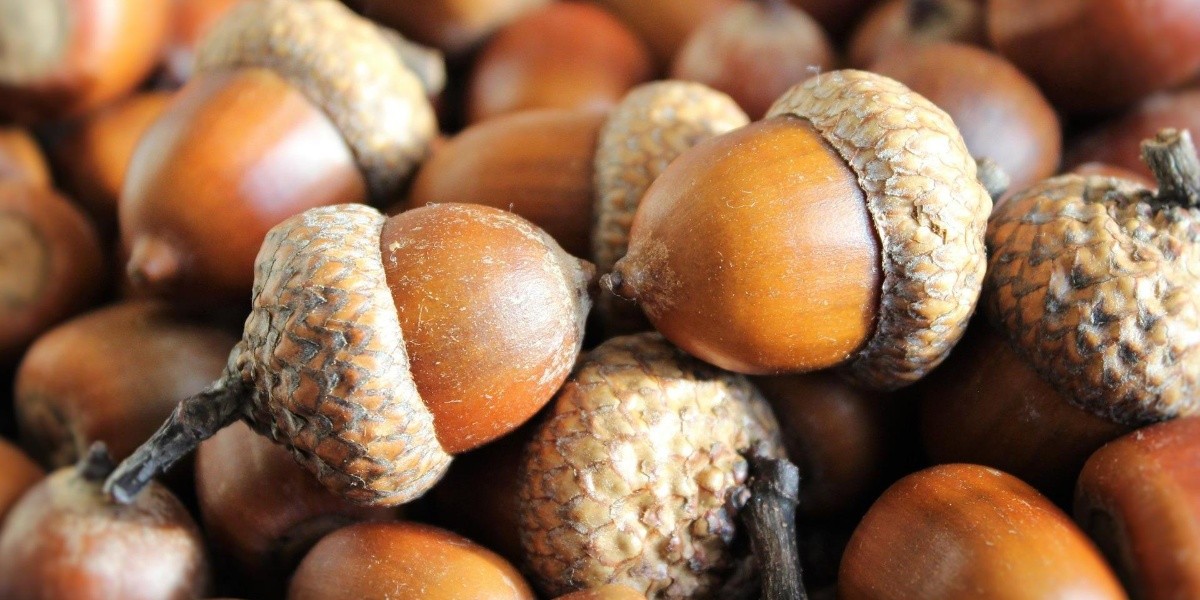 frutos secos beneficios PALM planes a la madrileña